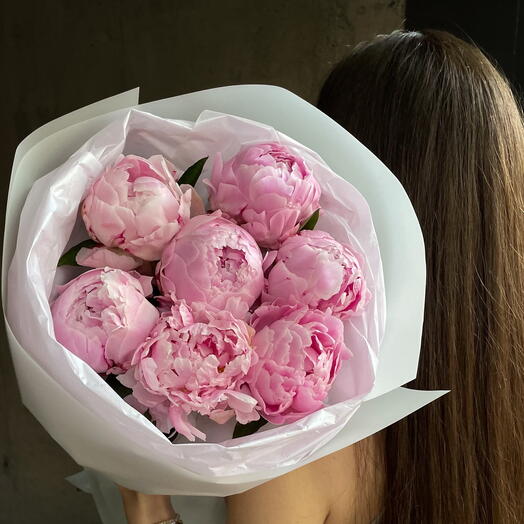 Pink peonies 7 pc Розовые пионы голландские