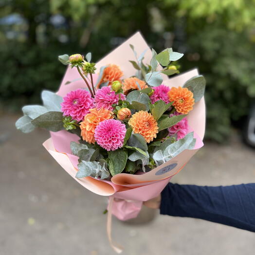 Mini Dahlias