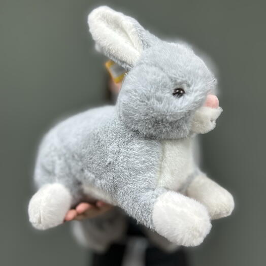 Кролик 🐰