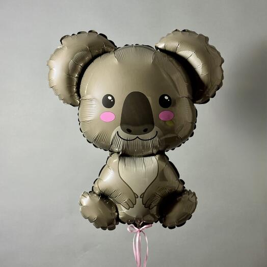 Коала