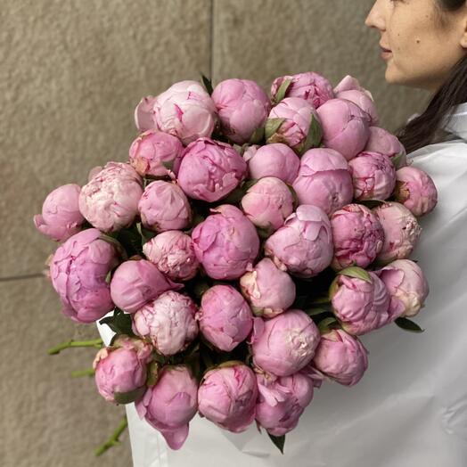 35 розовых пионов на атласной ленте