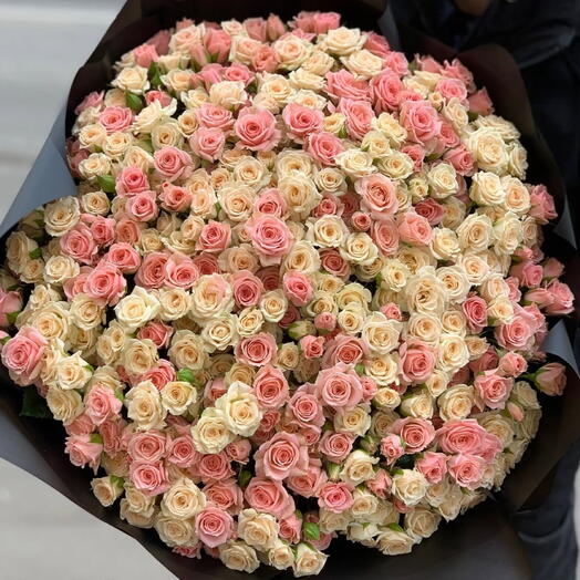 Любимые кустовые розы🥀