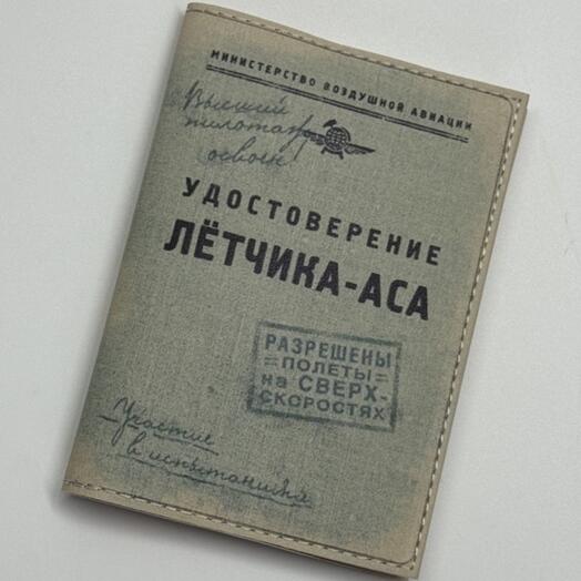 ОБЛОЖКА НА ПАСПОРТ авторский принт кожа 525 / подарок папе / мужчине / другу / на новый год / директору /самолёт