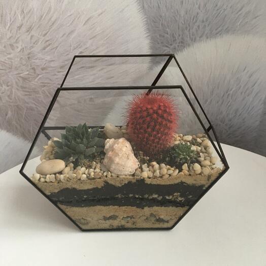 Флорариум для мамы