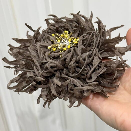 Брошь из текстиля «ASTRANTIA - CACAO»