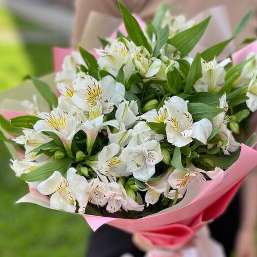 Нежный букет из белой альстромерии 🌸