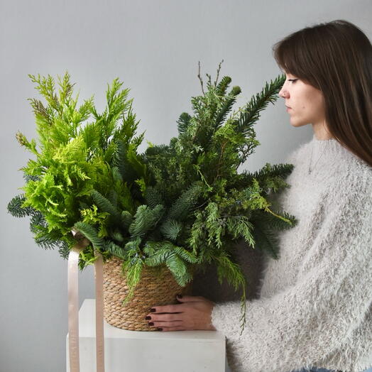 Зимняя композиция в корзине «Гринч» с ароматной хвоей + огоньки