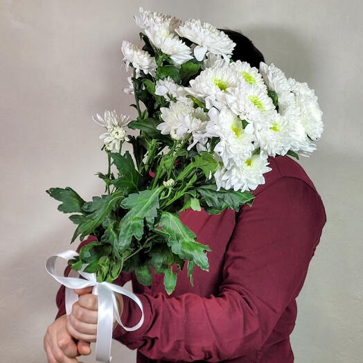 Белая хризантема