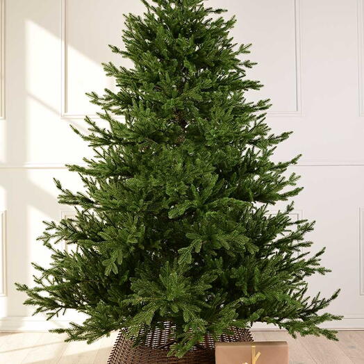 Искусственная ёлка Нордика - 215 - 151