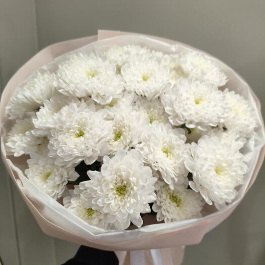 Белый пушистик