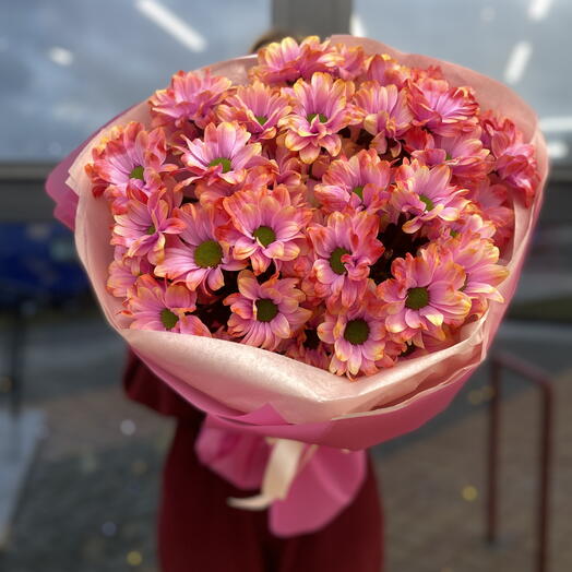 51 ромашка «Фаер Бол»