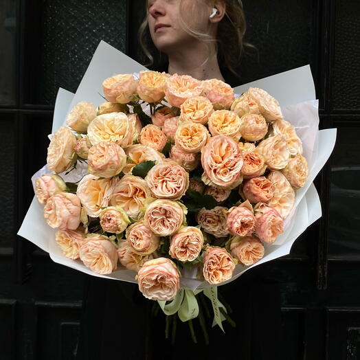 Gentle Trendsetter 15