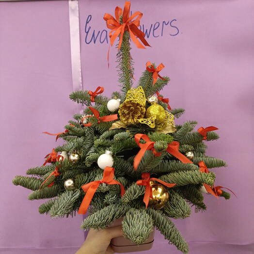 Елка новогодняя (лапник нобилис) с украшение в кашпо 50 см