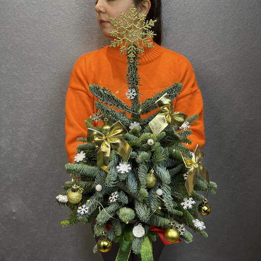 С Новым 2026 годом 🎄