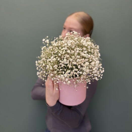 Гипсофила в коробке "Сладкая вата S"