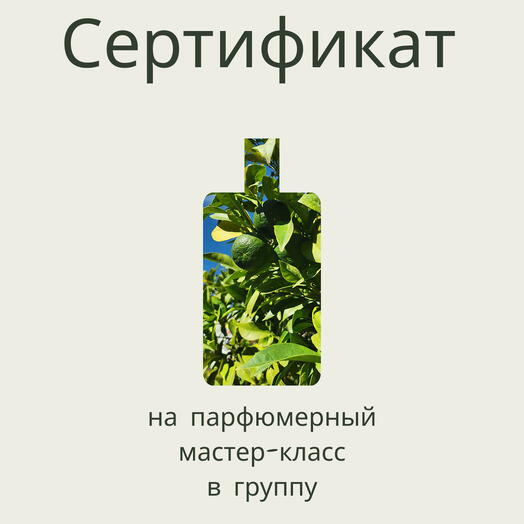 Сертификат на парфюмерный мастер-класс в группе (50 мл)