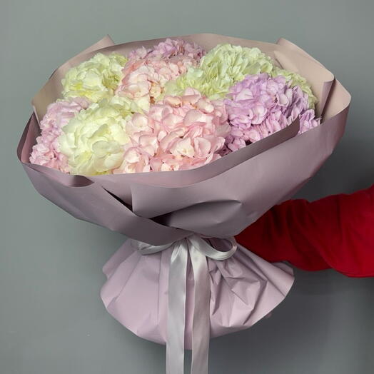 Микс гортензий