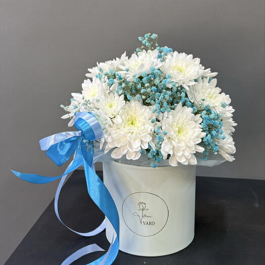 Композиция в шляпной коробке , Хризантема с Гипсофилой