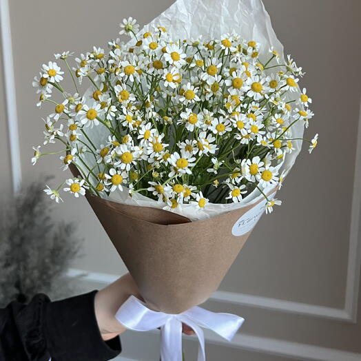 Ромашки🥰