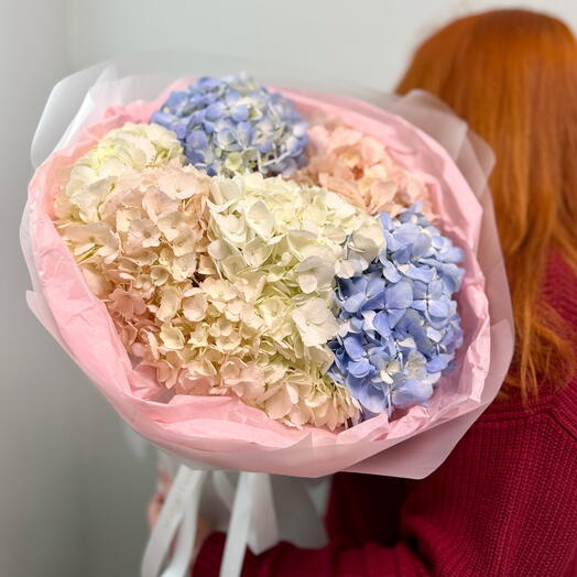 Monobucket of 7 hydrangeas