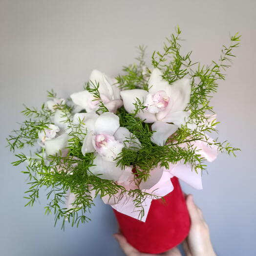 Цветы в коробке Орхидея нежность