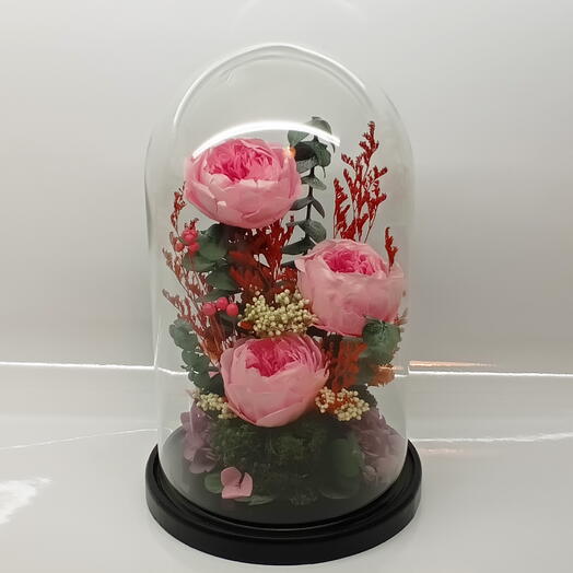 Натуральные пионы в стекле (RF2.12500p)