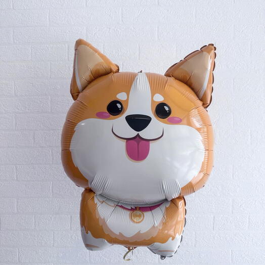 Шар собачка корги фольга
