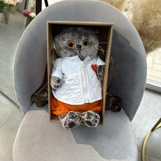 Кот черный в коробке