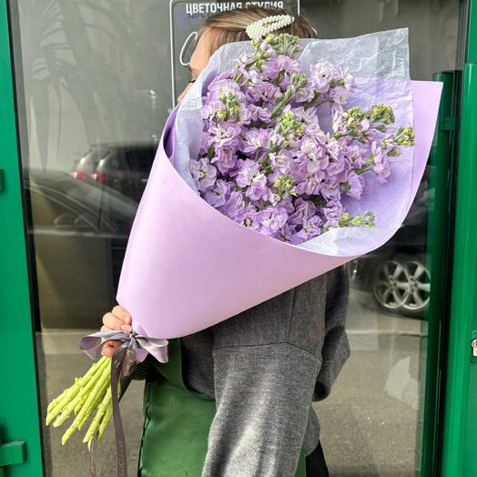 Маттиола в ассортименте в оформлении |11шт
