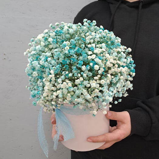 Gypsophila in a box