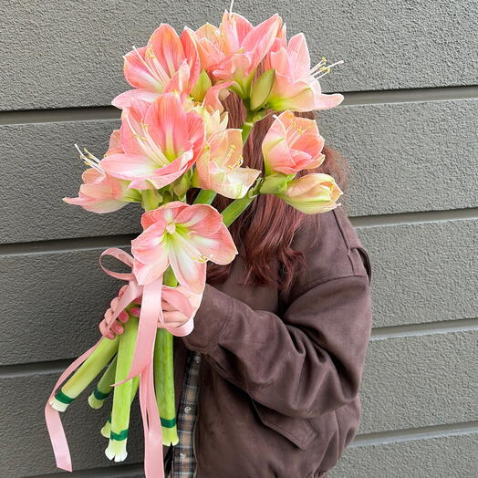 Нежные персиковые амариллисы