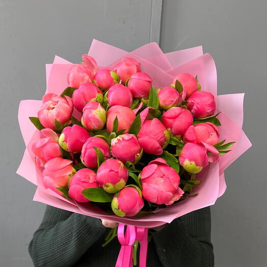 25 пионов Корал шарм (0006) peony