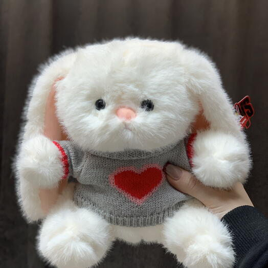 Ушастик