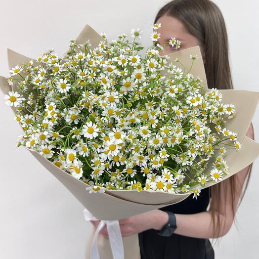 Букет из ромашек кустовых 15 шт