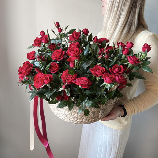 Шикарная корзина с садовыми цветущими красными розами в горшках. Veresk 621