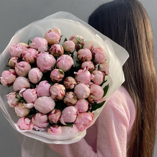 Пион импортный - 41 шт 💗