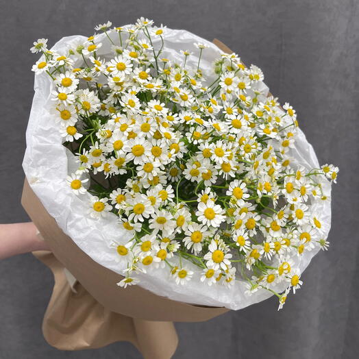 Медовый аромат | Ромашки