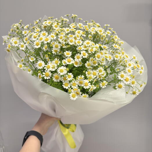 Букет из 9 ромашек