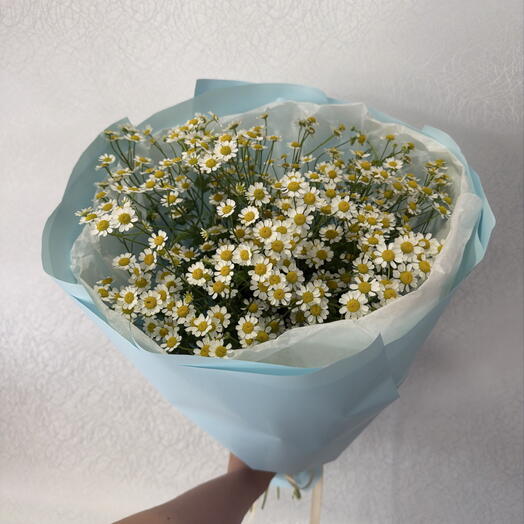 Ромашки для любимой