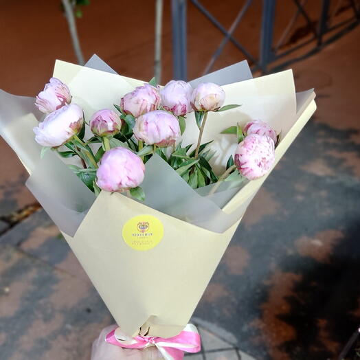 Dutch Peony