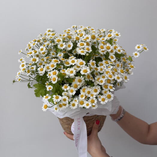 Корзина ромашек Fleur🌸