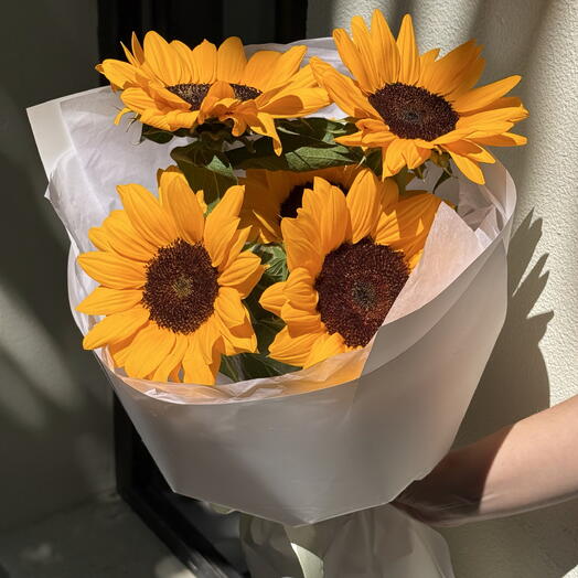 Sunflowers S size