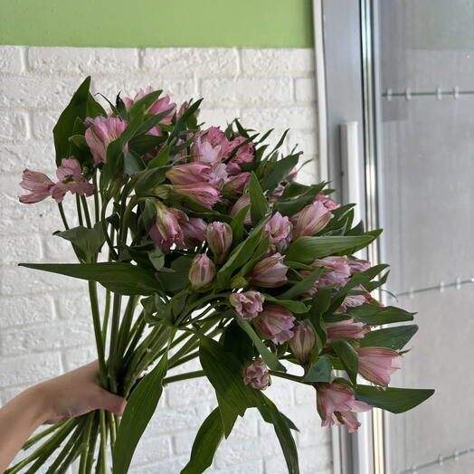 Букет из 19 альстромерий