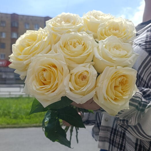 9 пионовидных роз