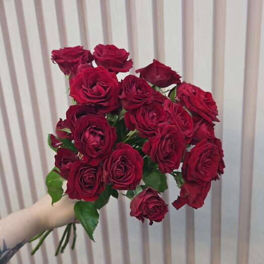 Кустовая роза 🌹 5 шт под ленту