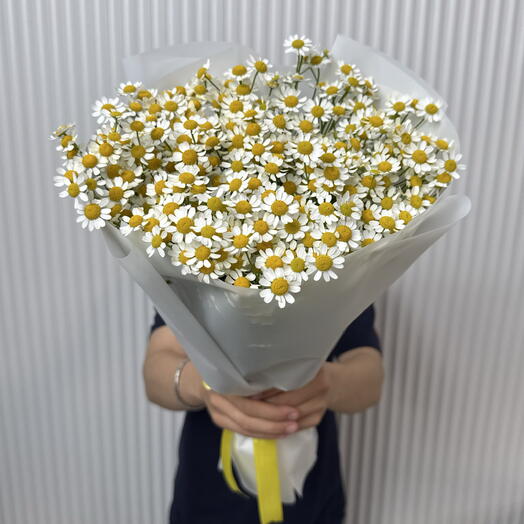 Мини ромашки