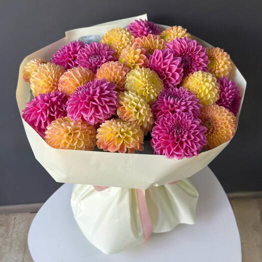 Whisper Dahlias