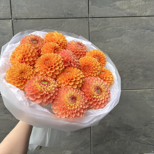 Солнечные Георгины
