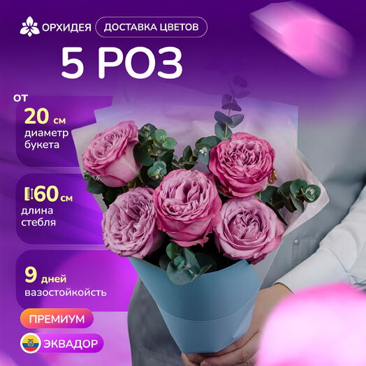5 пионовидных роз Куинси с эвкалиптом