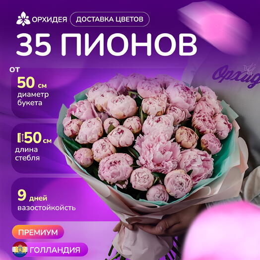 35 пионов "Сара Бернард"